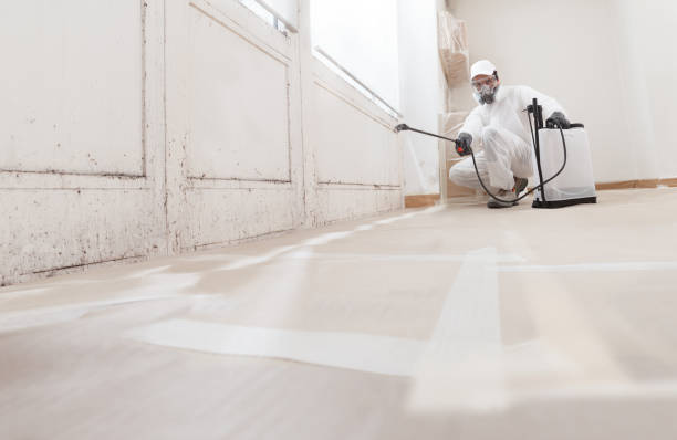 24/7 Emergency Black Mold Removal experts in Union City, NJ